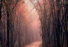 哈里-阿马斯:希望能有更多上场机会,我从队友身上学到很多.