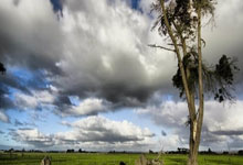 旺财28:场球场加时场点球,欧足联官方:精彩的欧国联之夜😍.